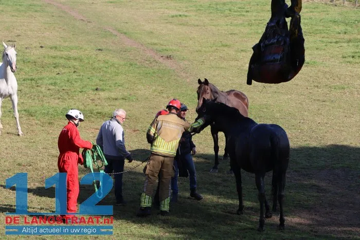 Grote brandweeractie voor paard in sloot aan Waspiksedijk Sprang-Capelle 112 De Langstraat