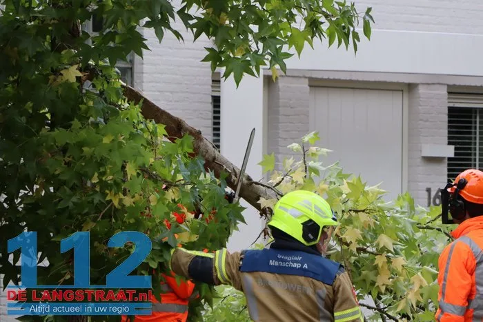 Brandweer zaagt boom om die dreigt om te vallen Waalwijk 112 De Langstraat