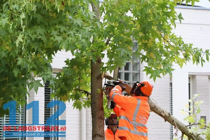 Brandweer zaagt boom om die dreigt om te vallen Waalwijk 112 De Langstraat