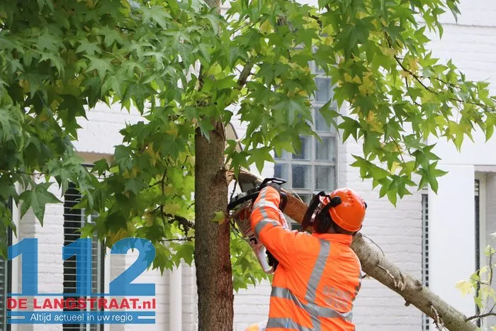 Brandweer zaagt boom om die dreigt om te vallen Waalwijk 112 De Langstraat