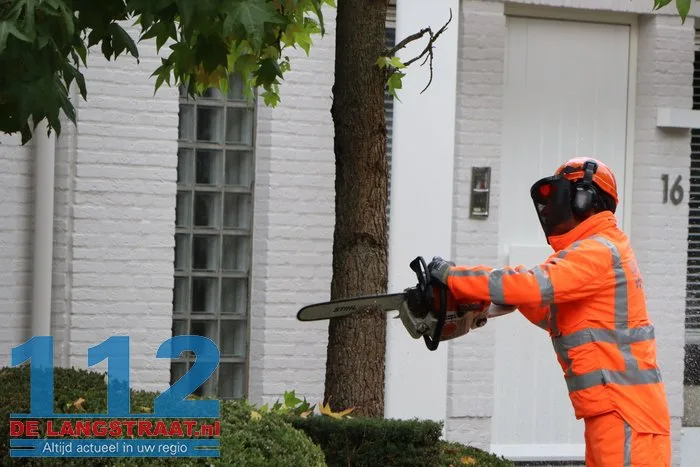 Brandweer zaagt boom om die dreigt om te vallen Waalwijk 112 De Langstraat