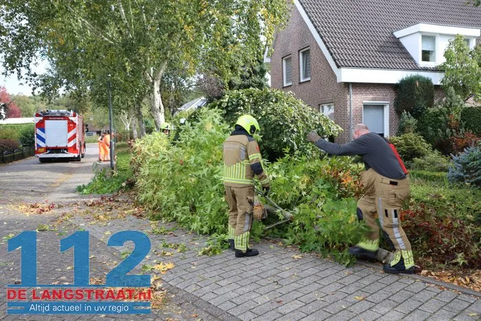 Brandweer zaagt boom om die dreigt om te vallen Waalwijk 112 De Langstraat