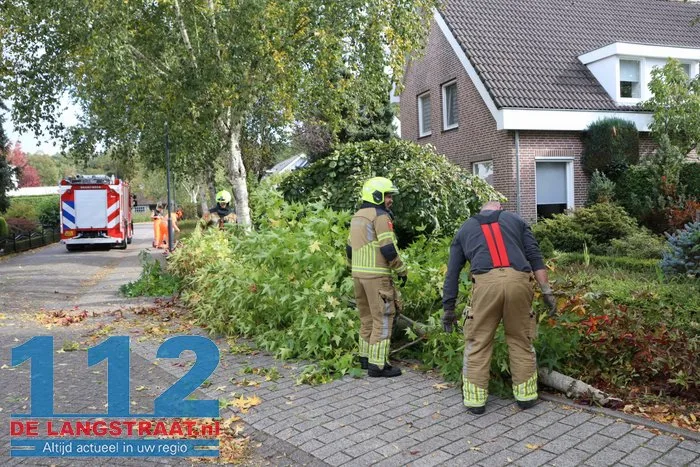 Brandweer zaagt boom om die dreigt om te vallen Waalwijk 112 De Langstraat