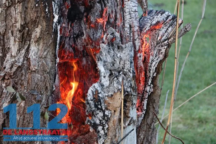 Jongentje in brandweerkleding helpt brandweer bij blussen brandende knotwilg Sprang-Capelle 112 De Langstraat