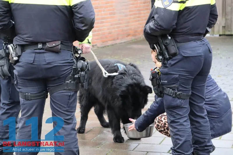 Gebruik van pelletkachel gaat mis: brand in huis in Waspik, bewoner en hond op tijd buiten 112 De Langstraat