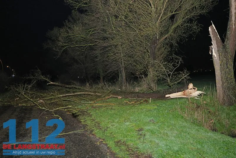Fatbiker ontsnapt aan val door omgewaaide boom op Meidoornweg 1 Fatbiker ontsnapt aan val door omgewaaide boom op Meidoornweg 112 De Langstraat