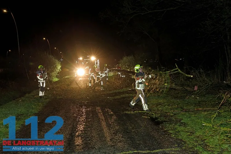 Fatbiker ontsnapt aan val door omgewaaide boom op Meidoornweg 6 Fatbiker ontsnapt aan val door omgewaaide boom op Meidoornweg 112 De Langstraat