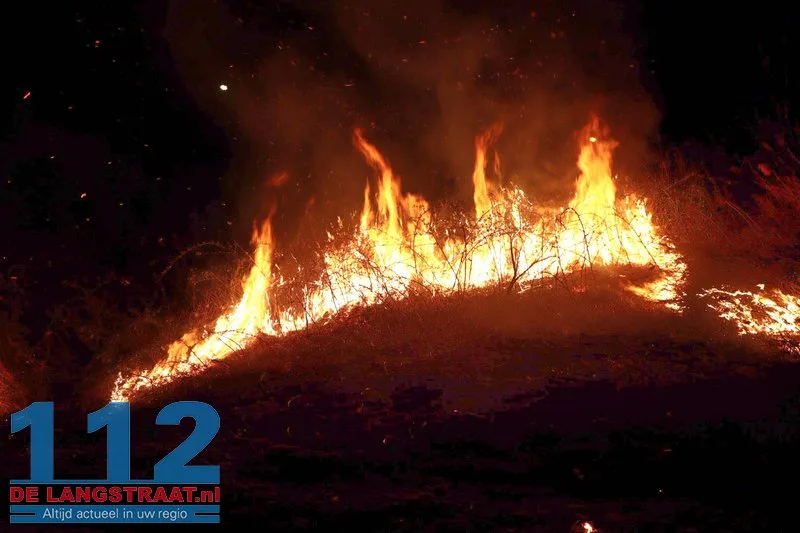 Metershoge vlammen langs Midden-Brabantweg: Brandweer blust rietbrand 112 De Langstraat