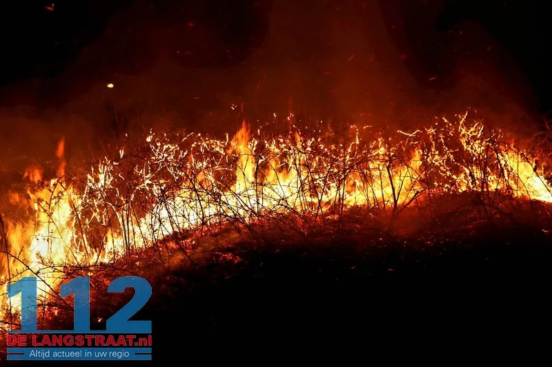 Metershoge vlammen langs Midden-Brabantweg: Brandweer blust rietbrand 112 De Langstraat