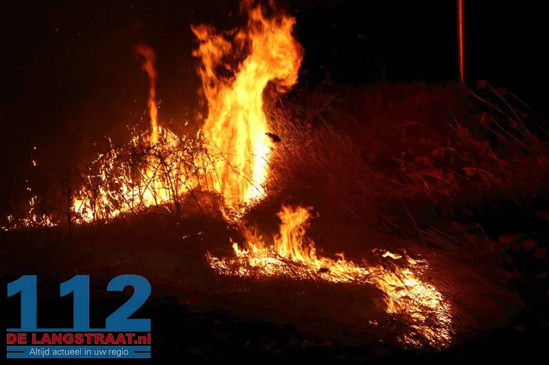 Metershoge vlammen langs Midden-Brabantweg: Brandweer blust rietbrand 112 De Langstraat