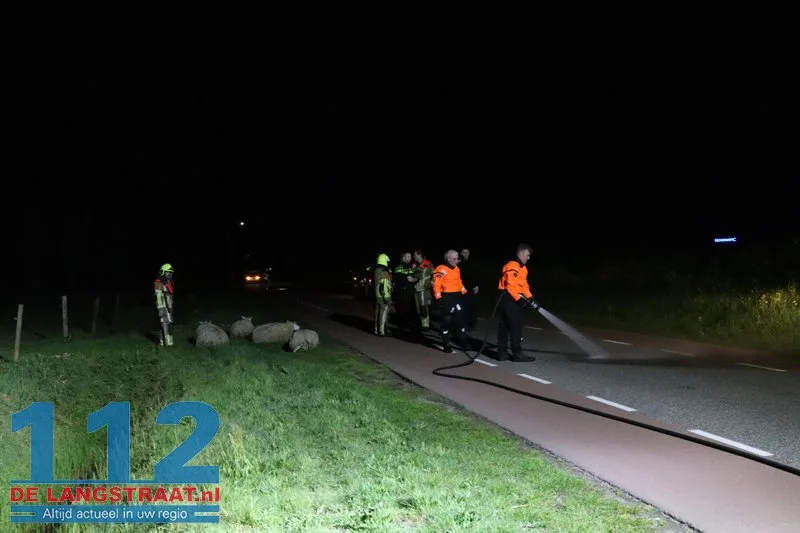 Automobilist rijdt door na aanrijding met kudde schapen op Westeinde: Vier dieren dood 4 Automobilist rijdt door na aanrijding met kudde schapen op Westeinde: Vier dieren dood 112 De Langstraat