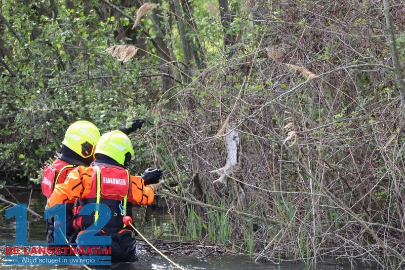 Reddingspoging voor vastzittende uil op Halve Zolenpad komt te laat 112 De Langstraat