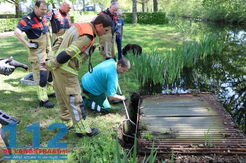 Brandweer bevrijdt meerkoeten uit benarde positie in duiker aan Meerdijk 112 De Langstraat