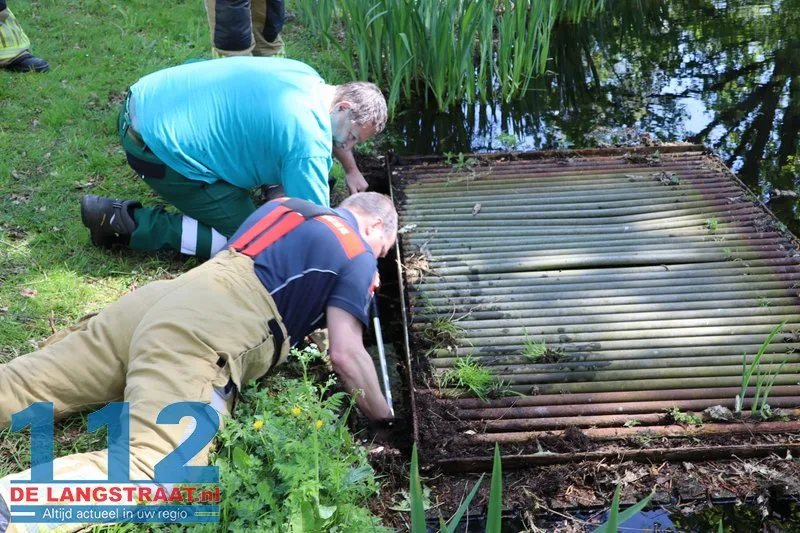 Brandweer bevrijdt meerkoeten uit benarde positie in duiker aan Meerdijk 112 De Langstraat