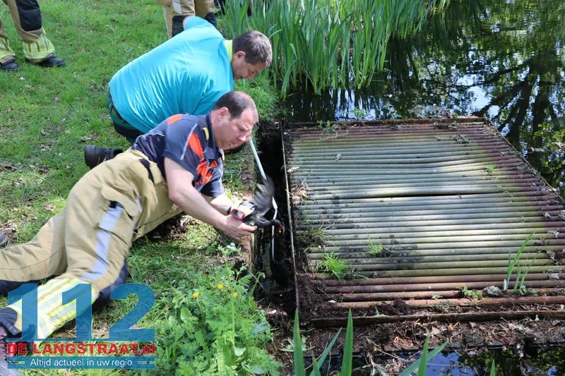 Brandweer bevrijdt meerkoeten uit benarde positie in duiker aan Meerdijk 112 De Langstraat