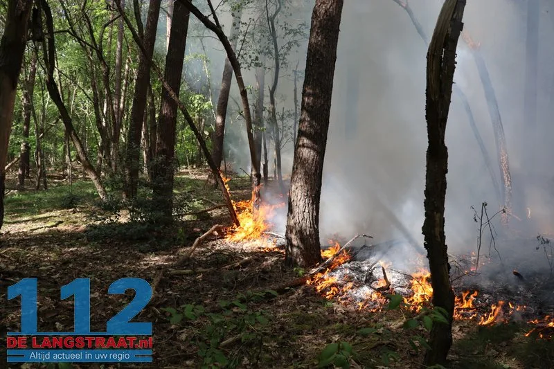 Bosbrand nabij Blauwe Meer in Loon op Zand, brandweer groots uitgerukt 112 De Langstraat