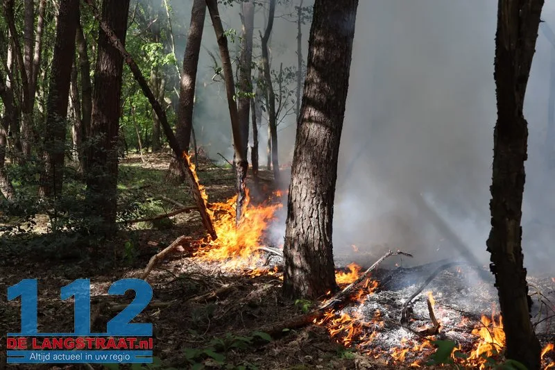 Bosbrand nabij Blauwe Meer in Loon op Zand, brandweer groots uitgerukt 112 De Langstraat