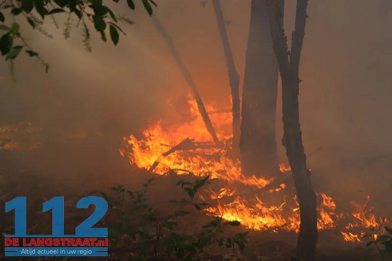 Bosbrand nabij Blauwe Meer in Loon op Zand, brandweer groots uitgerukt 112 De Langstraat