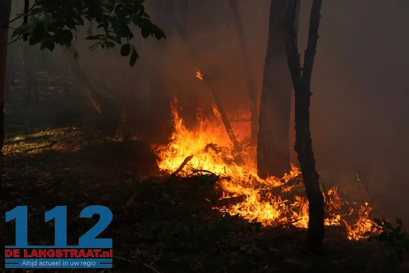Bosbrand nabij Blauwe Meer in Loon op Zand, brandweer groots uitgerukt 112 De Langstraat