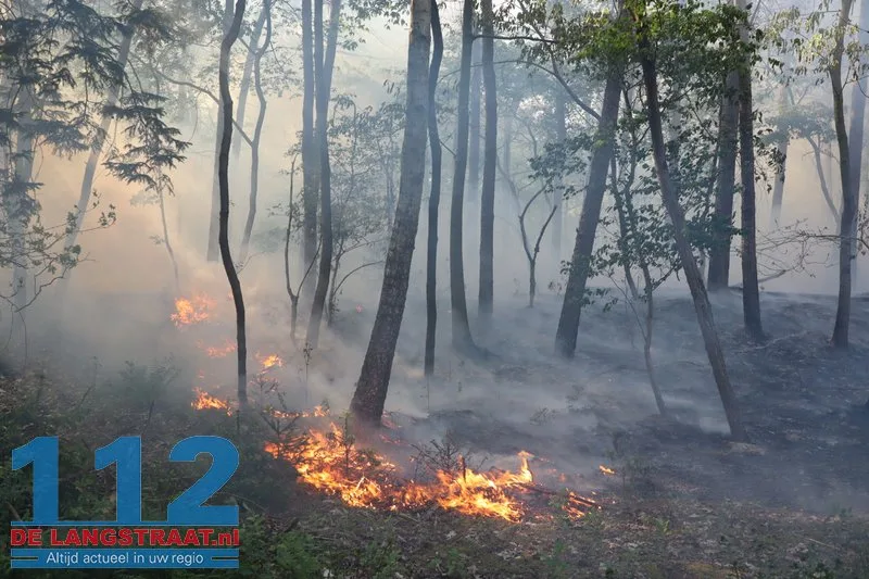Bosbrand nabij Blauwe Meer in Loon op Zand, brandweer groots uitgerukt 112 De Langstraat