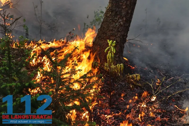 Bosbrand nabij Blauwe Meer in Loon op Zand, brandweer groots uitgerukt 112 De Langstraat