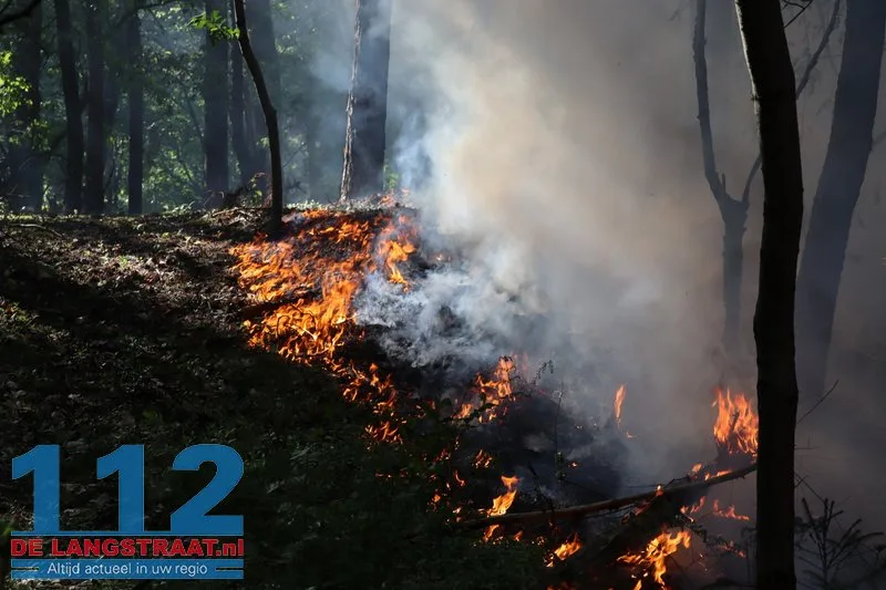 Bosbrand nabij Blauwe Meer in Loon op Zand, brandweer groots uitgerukt 112 De Langstraat