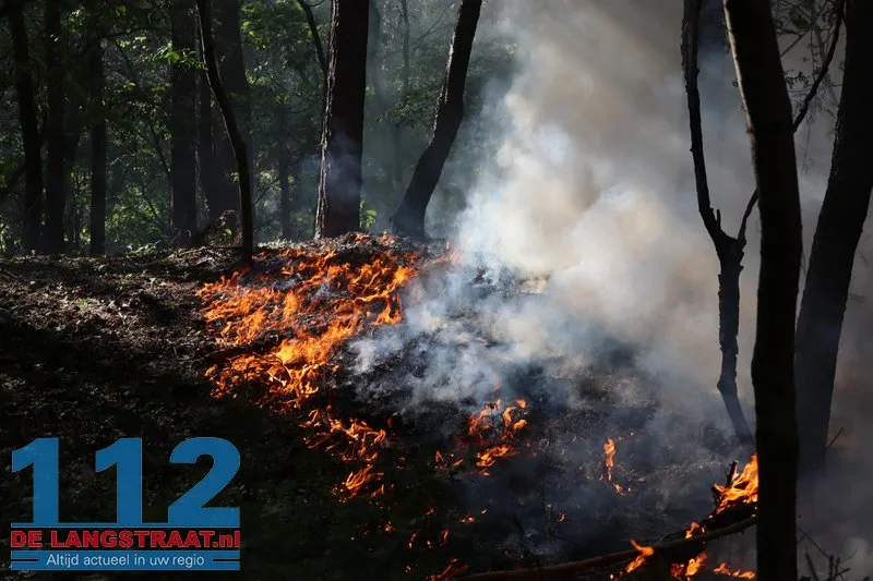 Bosbrand nabij Blauwe Meer in Loon op Zand, brandweer groots uitgerukt 112 De Langstraat