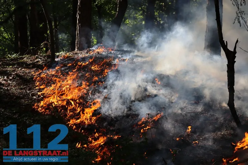 Bosbrand nabij Blauwe Meer in Loon op Zand, brandweer groots uitgerukt 112 De Langstraat