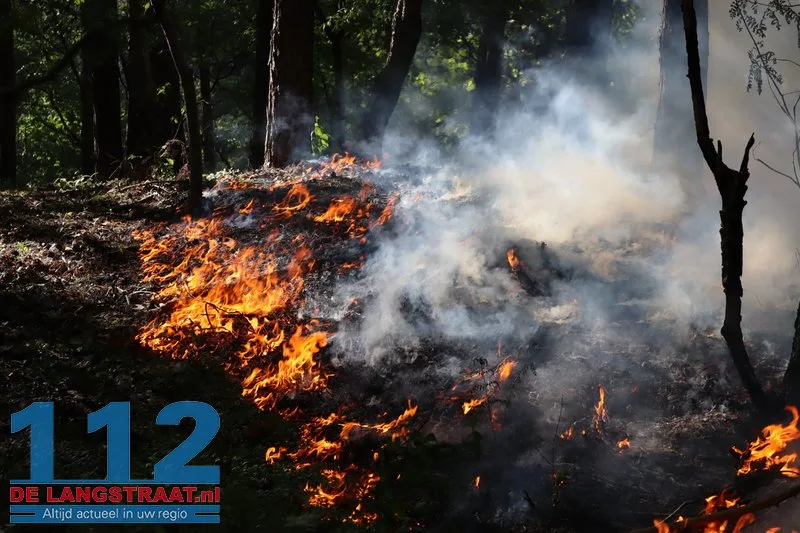 Bosbrand nabij Blauwe Meer in Loon op Zand, brandweer groots uitgerukt 112 De Langstraat