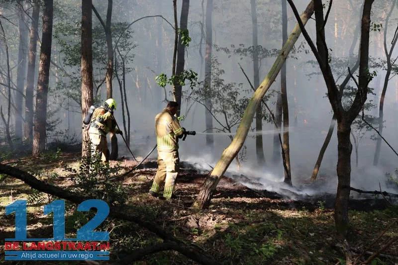 Bosbrand nabij Blauwe Meer in Loon op Zand, brandweer groots uitgerukt 112 De Langstraat