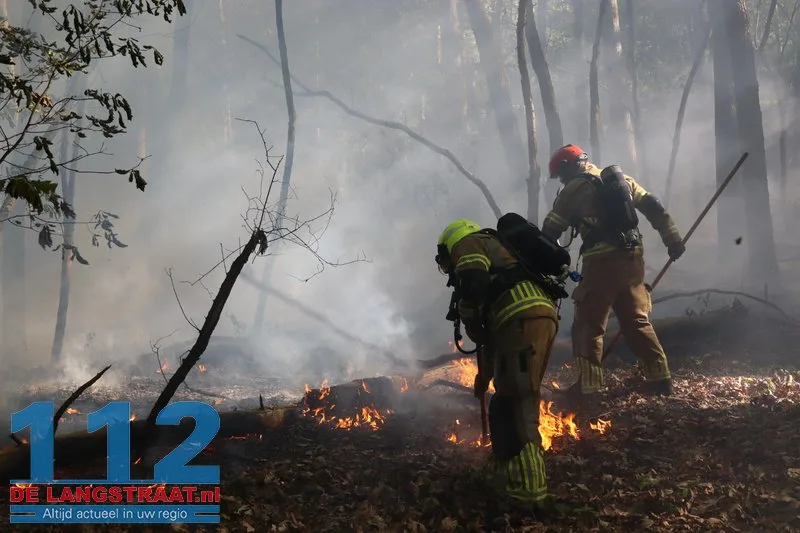Bosbrand nabij Blauwe Meer in Loon op Zand, brandweer groots uitgerukt 112 De Langstraat