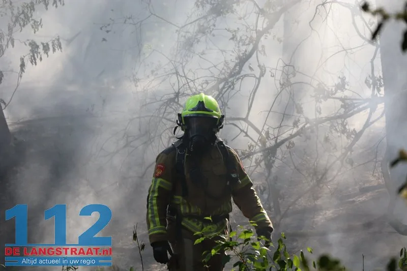 Bosbrand nabij Blauwe Meer in Loon op Zand, brandweer groots uitgerukt 112 De Langstraat