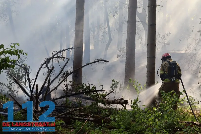 Bosbrand nabij Blauwe Meer in Loon op Zand, brandweer groots uitgerukt 112 De Langstraat