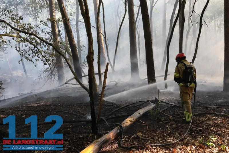 Bosbrand nabij Blauwe Meer in Loon op Zand, brandweer groots uitgerukt 112 De Langstraat