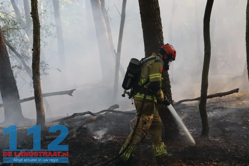 Bosbrand nabij Blauwe Meer in Loon op Zand, brandweer groots uitgerukt 112 De Langstraat