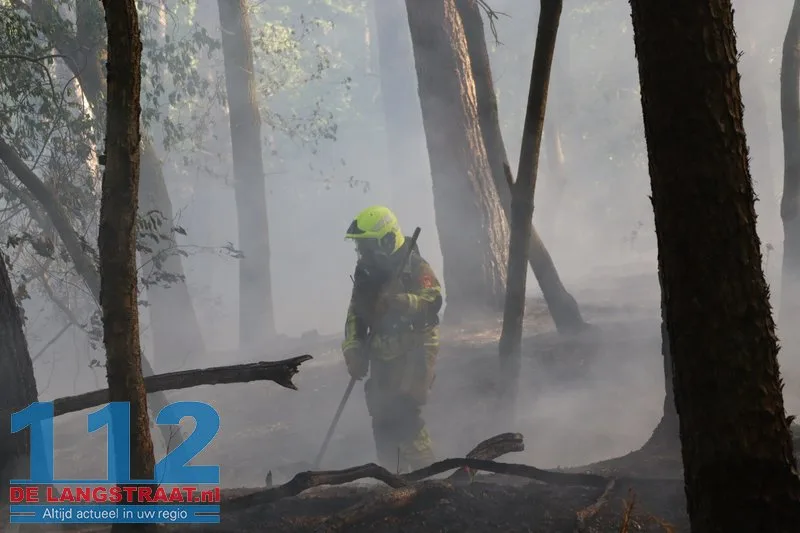 Bosbrand nabij Blauwe Meer in Loon op Zand, brandweer groots uitgerukt 112 De Langstraat