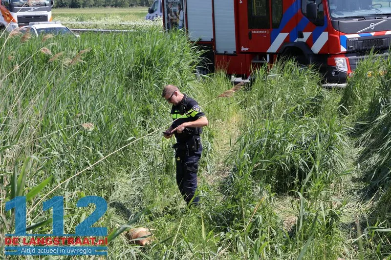 Auto belandt na verkeersconflict in sloot langs A59 bij Waspik, ree komt om het leven 3 Auto belandt na verkeersconflict in sloot langs A59 bij Waspik, ree komt om het leven 112 De Langstraat