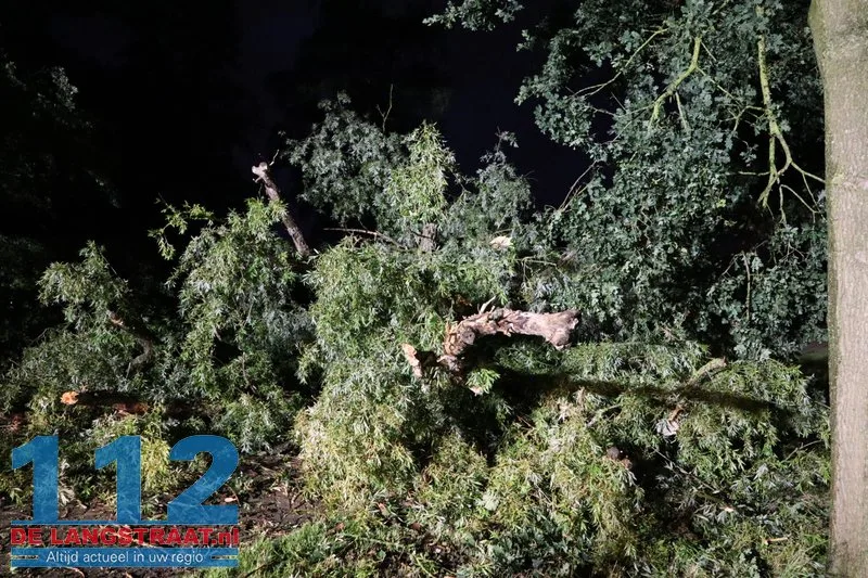 Boom waait dwars over de weg in Waspik tijdens noodweer 112 De Langstraat