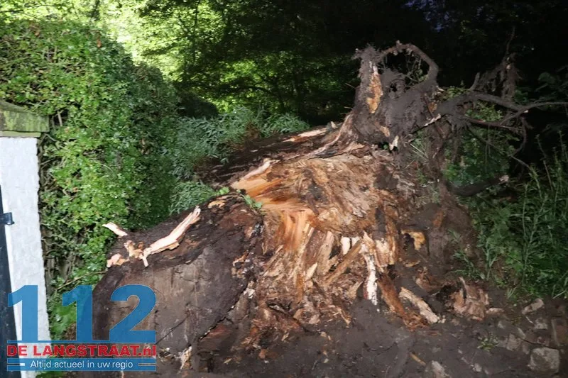 Boom waait dwars over de weg in Waspik tijdens noodweer 112 De Langstraat