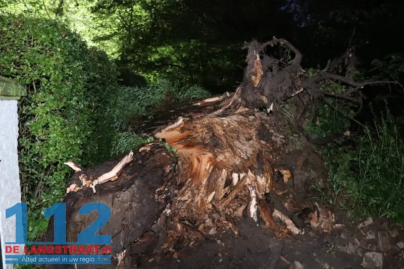 Boom waait dwars over de weg in Waspik tijdens noodweer 112 De Langstraat
