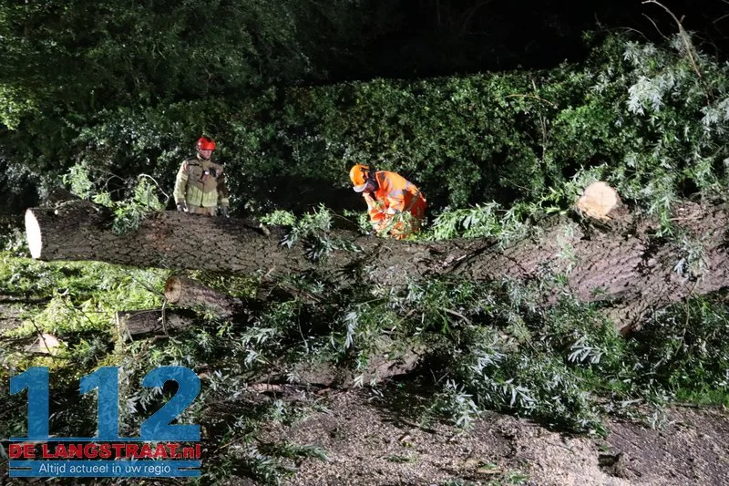 Boom waait dwars over de weg in Waspik tijdens noodweer 112 De Langstraat