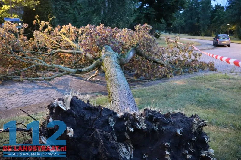 Zware buien teisteren Brabant: veel stormschades 112 De Langstraat