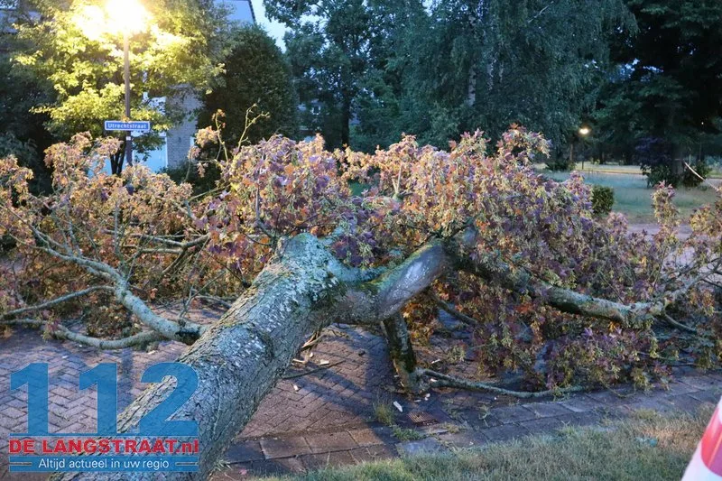 Zware buien teisteren Brabant: veel stormschades 112 De Langstraat
