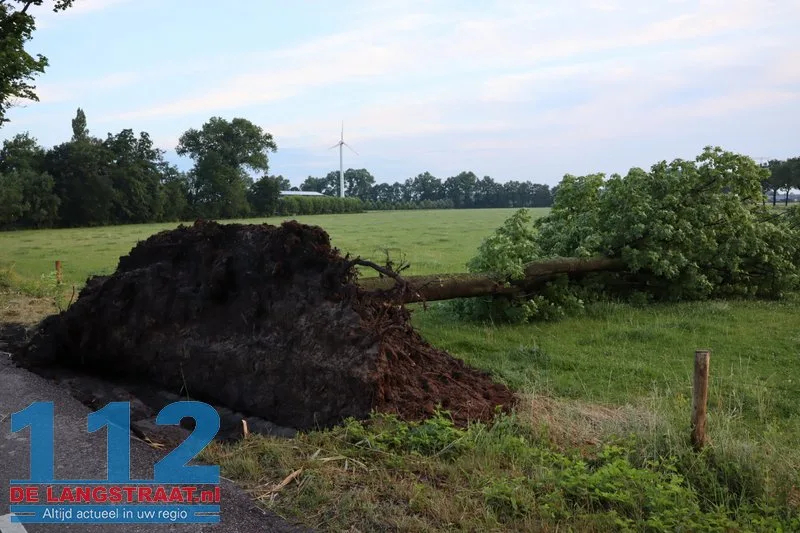 Zware buien teisteren Brabant: veel stormschades 112 De Langstraat
