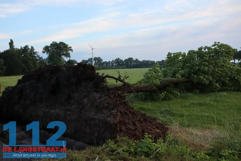 Zware buien teisteren Brabant: veel stormschades 112 De Langstraat