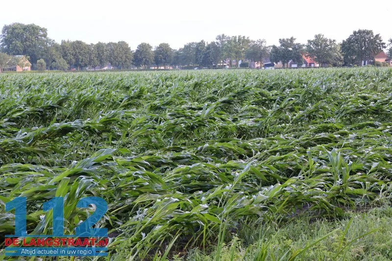 Zware buien teisteren Brabant: veel stormschades 112 De Langstraat