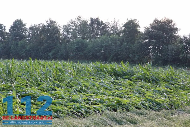 Zware buien teisteren Brabant: veel stormschades 112 De Langstraat