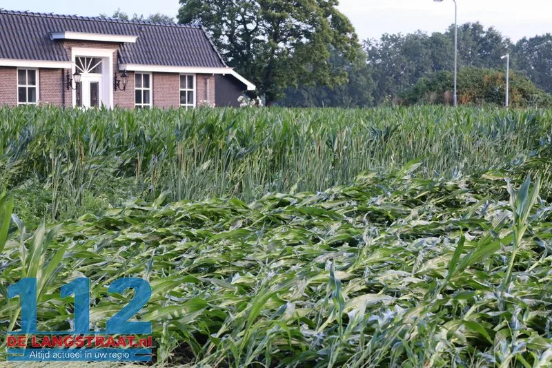 Zware buien teisteren Brabant: veel stormschades 112 De Langstraat