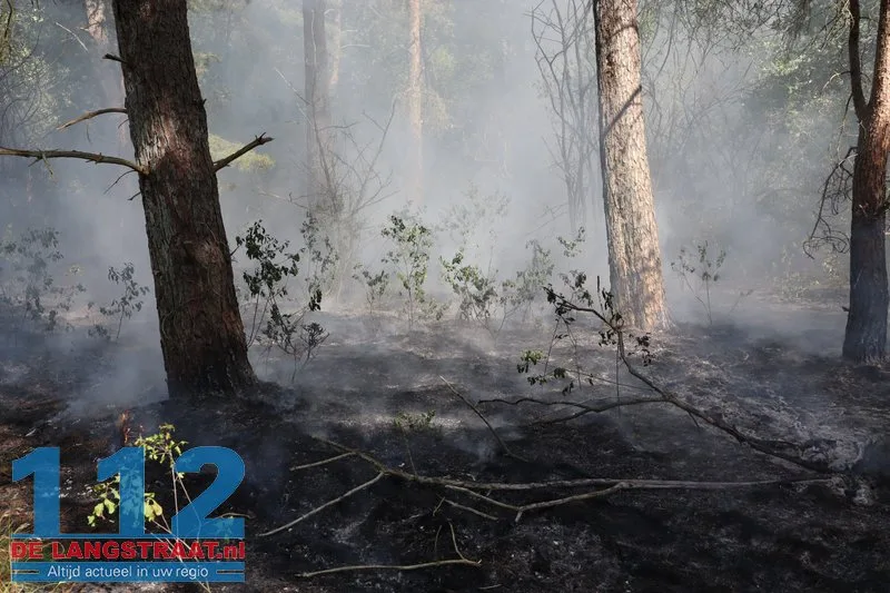 Brand uitgebroken in de Loonse en Drunense Duinen, gebied moeilijk te bereiken door smalle paden 112 De Langstraat