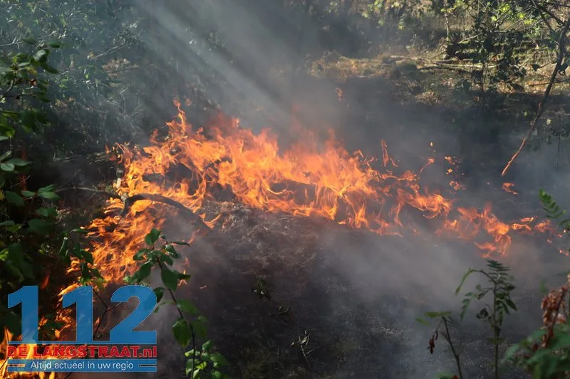 Brand uitgebroken in de Loonse en Drunense Duinen, gebied moeilijk te bereiken door smalle paden 112 De Langstraat